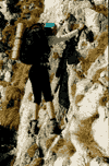 Valea Crapaturii, Vf. Turnu, Vf. Ascutit