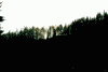 Ref. Grind, Valea Seaca, Cab. Brusturet