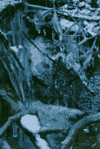 Cascada Tamina