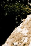 Cascada Tamina