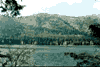 Lacul Sf. Ana, toamna