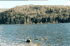 Lacul Sf. Ana, toamna