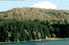 Lacul Sf. Ana, toamna