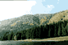 Lacul Sf. Ana, toamna
