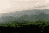 Moeciu