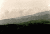 Moeciu