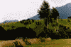 Moeciu