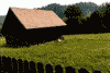Moeciu