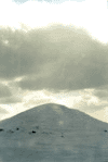Vf. Omu, Platou Bucegi