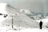 Vf. Omu, Platou Bucegi
