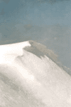 Vf. Omu, Platou Bucegi