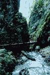 Dambu Morii, 7 Scari, Cab. Piatra Mare, Sirul Stancilor, Dambu Morii