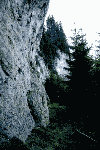 Dambu Morii, 7 Scari, Cab. Piatra Mare, Sirul Stancilor, Dambu Morii