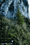 Dambu Morii, 7 Scari, Cab. Piatra Mare, Sirul Stancilor, Dambu Morii