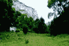 Cheile Rametului, Cheia