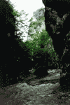Cheile Rametului, Cheia