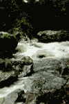 Cheile Rametului, Cheia