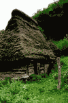 Cheile Rametului, Cheia