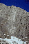 Ref. Costila, Valea Albisoara Crucii