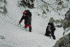 Ref. Costila, Valea Albisoara Crucii