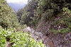 Jepii Mici, Platou, Vf. Omu