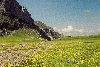 Vf. Omu, Valea Gaura
