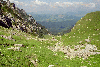 Vf. Omu, Valea Gaura