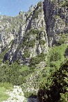 Vf. Omu, Valea Gaura