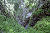 Vf. Omu, Valea Gaura