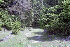 Vf. Omu, Valea Gaura