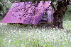 Vf. Omu, Valea Gaura