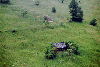 Vf. Omu, Valea Gaura