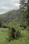 Olanesti, Man. Parhon, Canton Cheia