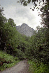 Olanesti, Man. Parhon, Canton Cheia