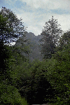 Olanesti, Man. Parhon, Canton Cheia