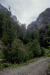 Olanesti, Man. Parhon, Canton Cheia