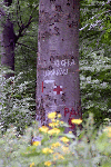 Olanesti, Man. Parhon, Canton Cheia