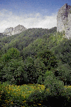 Olanesti, Man. Parhon, Canton Cheia