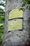 Olanesti, Man. Parhon, Canton Cheia