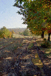 Concertul de la Pestera ROMANESTI