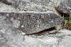 Manastirea Turnu, Manastirea Cozia