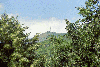Manastirea Turnu, Manastirea Cozia