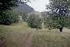 Creasta Cocosului, Mogosa, Baia Sprie, Baia Mare
