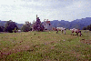 Creasta Cocosului, Mogosa, Baia Sprie, Baia Mare