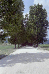 Cab. Curmatura, Cab. Plaiu Foii, Rudarita