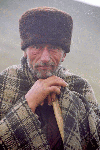 Cab Sambata, Ref. Caltun