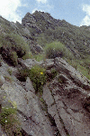 Cab Sambata, Ref. Caltun