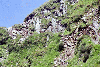 Cab Sambata, Ref. Caltun