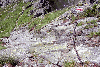 Cab Sambata, Ref. Caltun