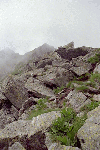 Ref. Caltun, Lac Avrig